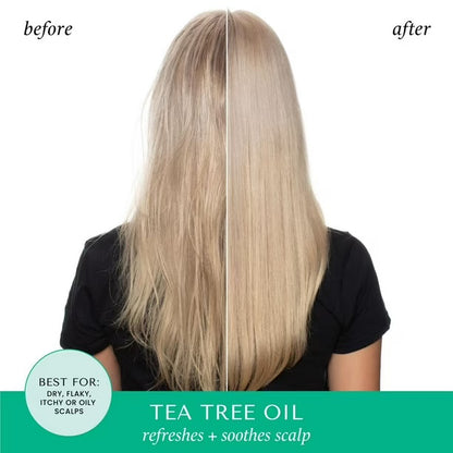 HASK Tea Tree Oil Invigorating Shampoo 355mL 12 oz