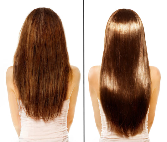 DIFEEL Ultra Growth Basil&castor oil Hair growth oil  2.5 oz
